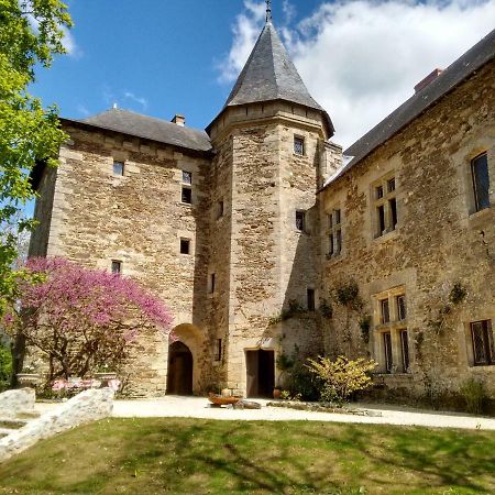 Chateau De Chanze Faye-d'Anjou Esterno foto