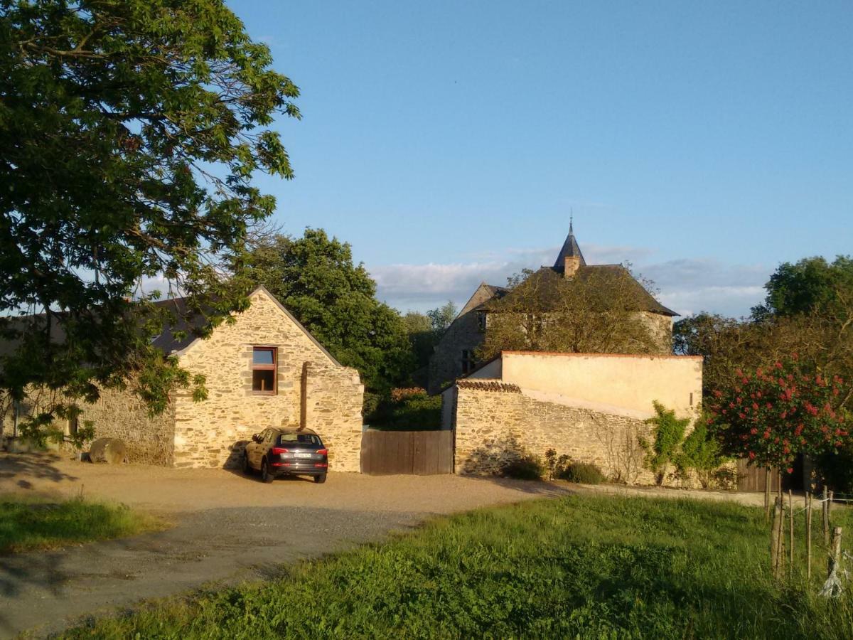 Chateau De Chanze Faye-d'Anjou Esterno foto