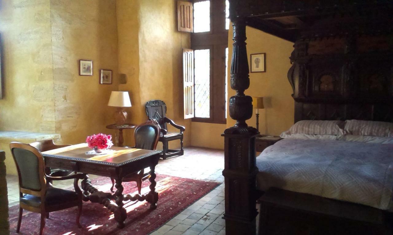 Chateau De Chanze Faye-d'Anjou Esterno foto