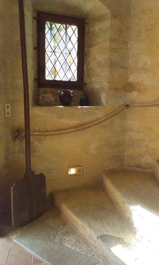 Chateau De Chanze Faye-d'Anjou Esterno foto