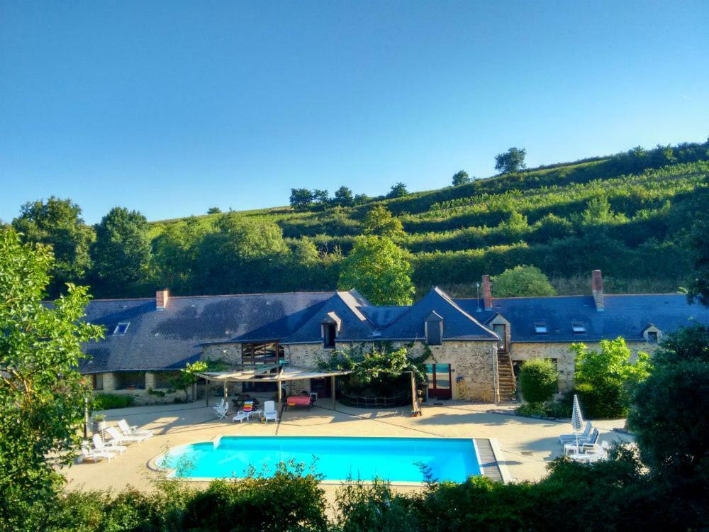 Chateau De Chanze Faye-d'Anjou Esterno foto